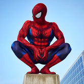 Fantasia Masculina Homem Aranha Clássico Adulto Cosplay Traje Luxo Tobey HQ