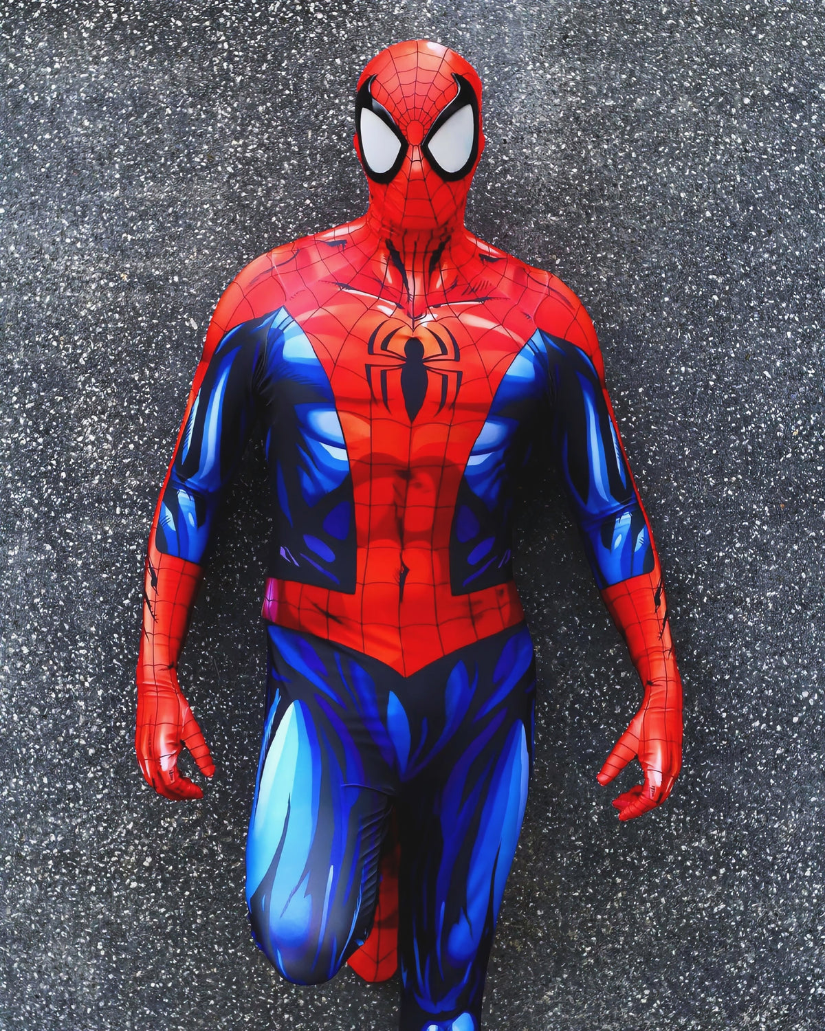 Fantasia Homem-Aranha Ultimate HQ Adulto Cosplay Luxo Traje Profissional